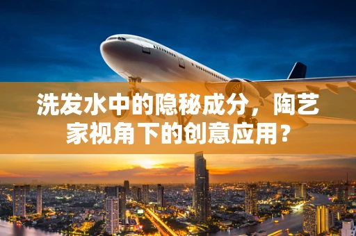 洗发水中的隐秘成分，陶艺家视角下的创意应用？