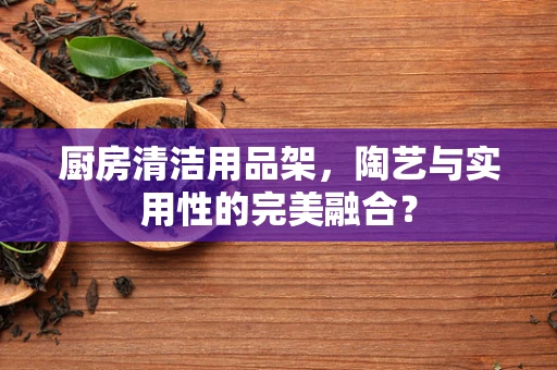 厨房清洁用品架，陶艺与实用性的完美融合？