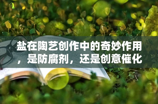 盐在陶艺创作中的奇妙作用，是防腐剂，还是创意催化剂？