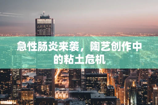 急性肠炎来袭，陶艺创作中的粘土危机