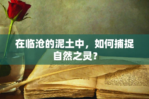 在临沧的泥土中，如何捕捉自然之灵？