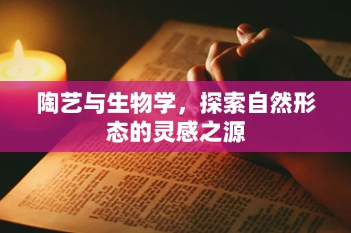 陶艺与生物学，探索自然形态的灵感之源