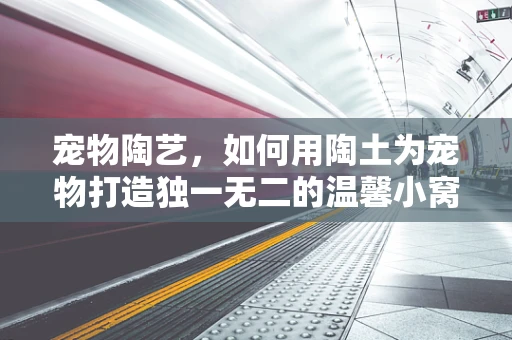宠物陶艺，如何用陶土为宠物打造独一无二的温馨小窝？