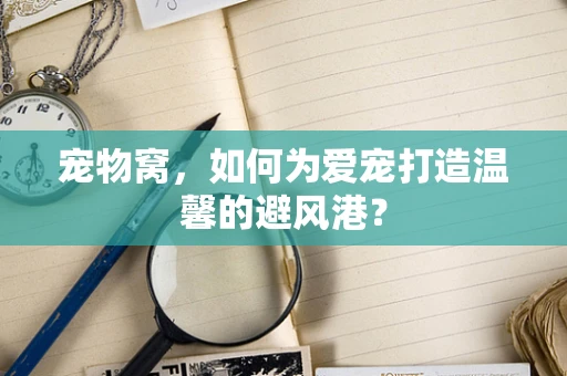宠物窝，如何为爱宠打造温馨的避风港？