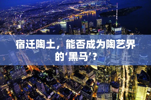 宿迁陶土，能否成为陶艺界的‘黑马’？