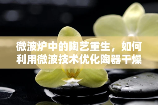 微波炉中的陶艺重生，如何利用微波技术优化陶器干燥与硬化过程？