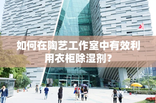 如何在陶艺工作室中有效利用衣柜除湿剂？