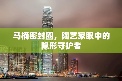 马桶密封圈，陶艺家眼中的隐形守护者