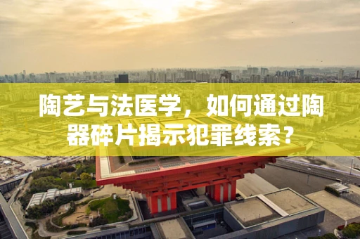 陶艺与法医学，如何通过陶器碎片揭示犯罪线索？