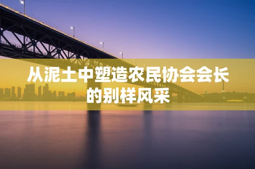 从泥土中塑造农民协会会长的别样风采