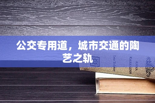 公交专用道，城市交通的陶艺之轨