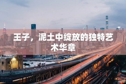 王子，泥土中绽放的独特艺术华章