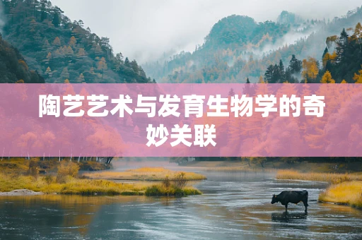 陶艺艺术与发育生物学的奇妙关联