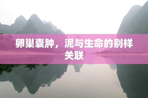 卵巢囊肿，泥与生命的别样关联