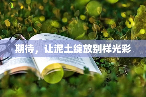期待，让泥土绽放别样光彩