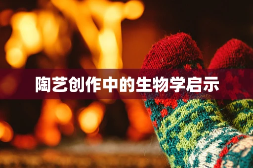 陶艺创作中的生物学启示