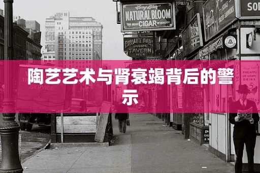 陶艺艺术与肾衰竭背后的警示