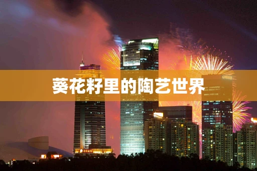 葵花籽里的陶艺世界