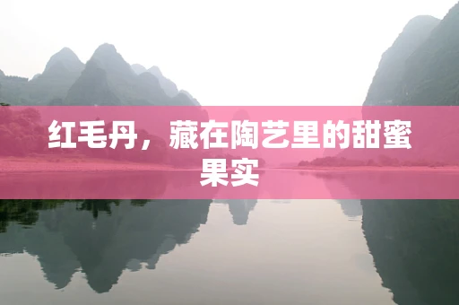 红毛丹，藏在陶艺里的甜蜜果实