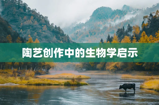 陶艺创作中的生物学启示