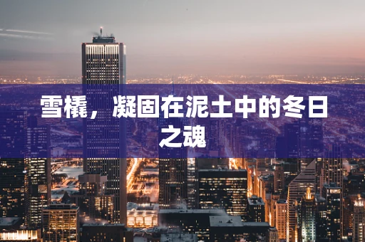 雪橇，凝固在泥土中的冬日之魂