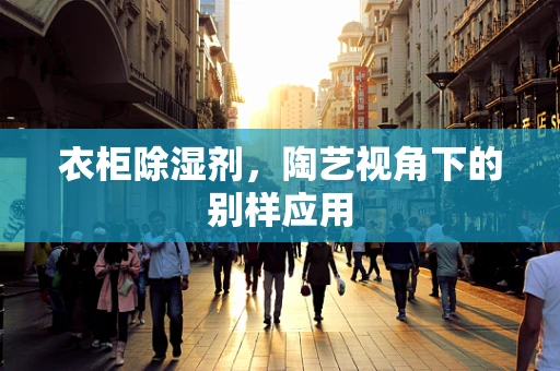 衣柜除湿剂，陶艺视角下的别样应用