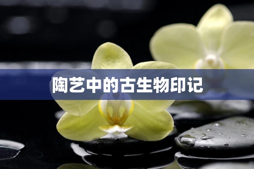 陶艺中的古生物印记