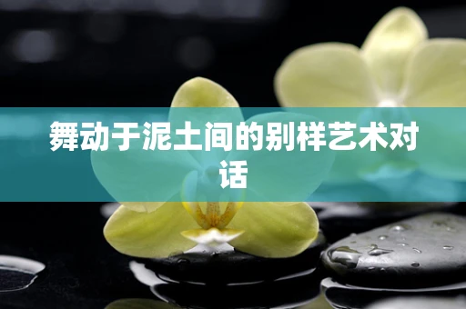 舞动于泥土间的别样艺术对话