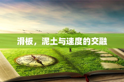 滑板，泥土与速度的交融