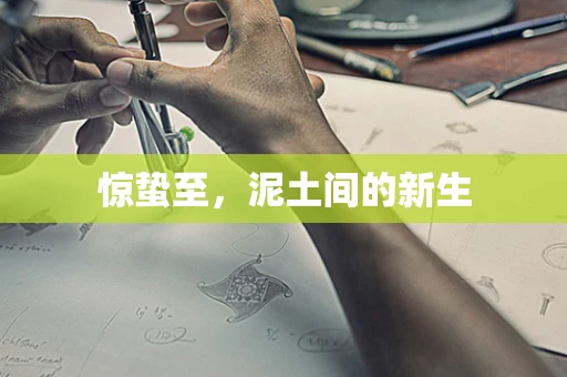 惊蛰至，泥土间的新生