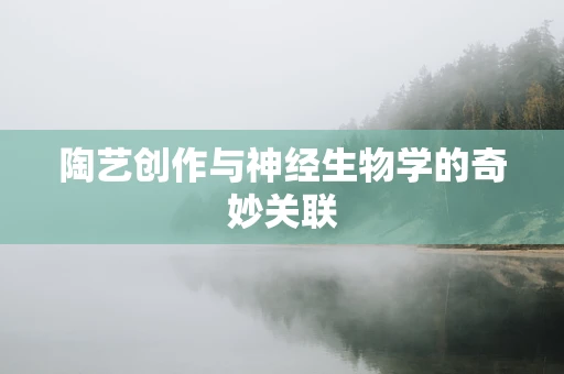 陶艺创作与神经生物学的奇妙关联