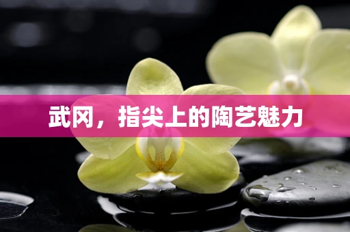 武冈，指尖上的陶艺魅力
