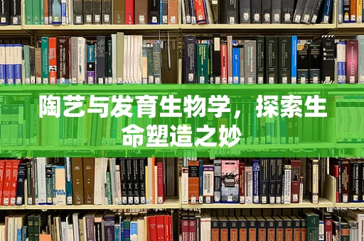 陶艺与发育生物学，探索生命塑造之妙
