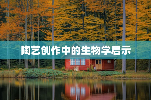 陶艺创作中的生物学启示