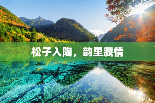 松子入陶，韵里藏情