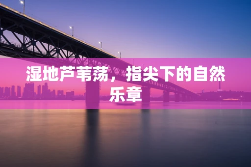 湿地芦苇荡，指尖下的自然乐章