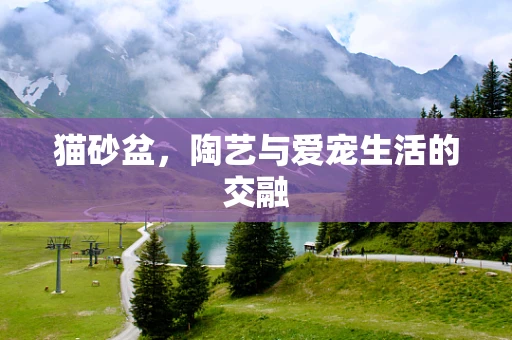 猫砂盆，陶艺与爱宠生活的交融
