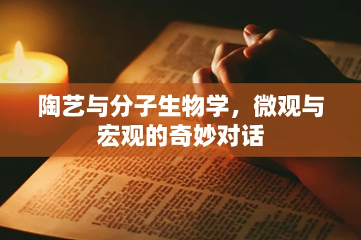 陶艺与分子生物学，微观与宏观的奇妙对话