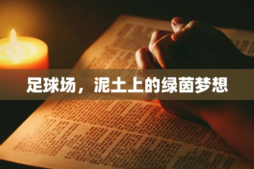 足球场，泥土上的绿茵梦想