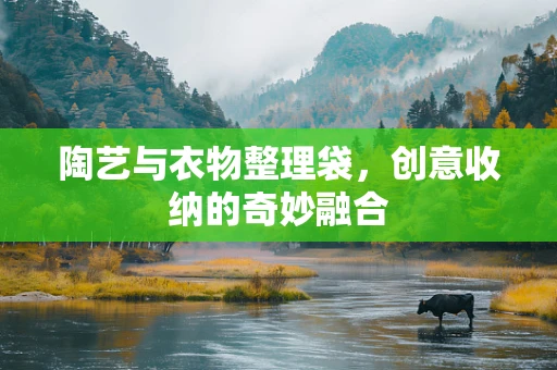 陶艺与衣物整理袋，创意收纳的奇妙融合