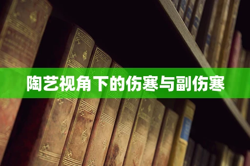 陶艺视角下的伤寒与副伤寒