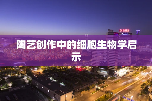 陶艺创作中的细胞生物学启示