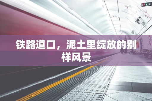 铁路道口，泥土里绽放的别样风景