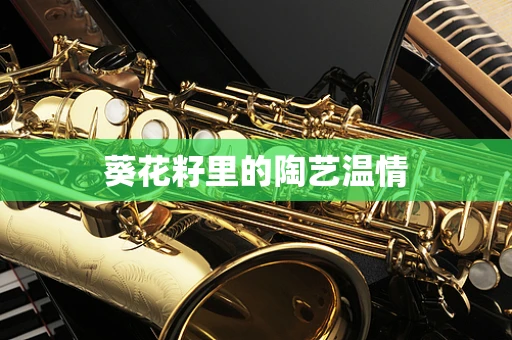 葵花籽里的陶艺温情