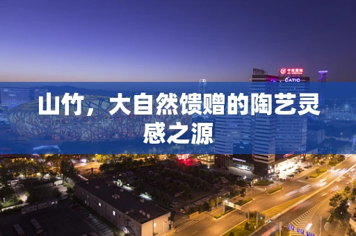 山竹，大自然馈赠的陶艺灵感之源