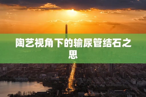 陶艺视角下的输尿管结石之思